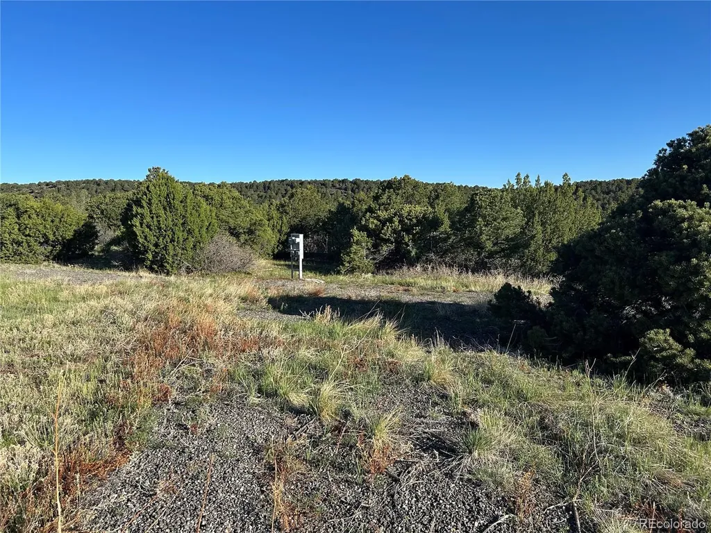Lot 165 Silver Spurs Ranch Walsenburg CO 81089