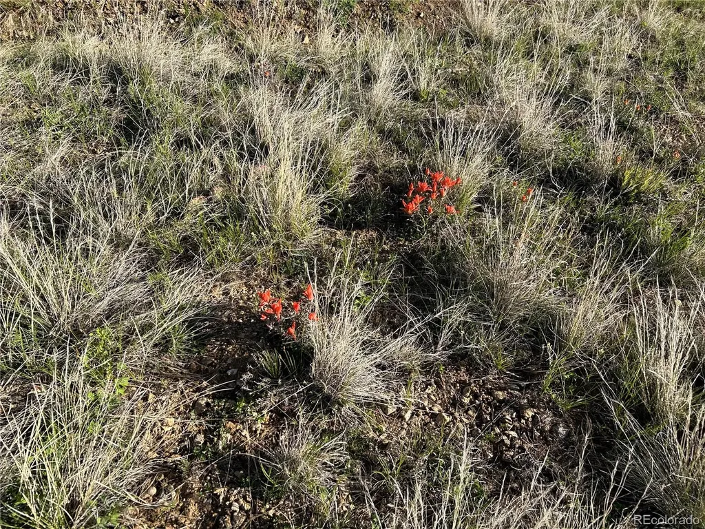 Lot 165 Silver Spurs Ranch Walsenburg CO 81089