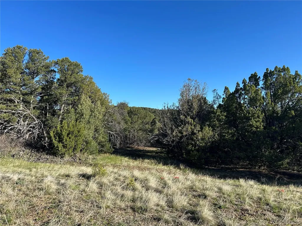Lot 165 Silver Spurs Ranch Walsenburg CO 81089