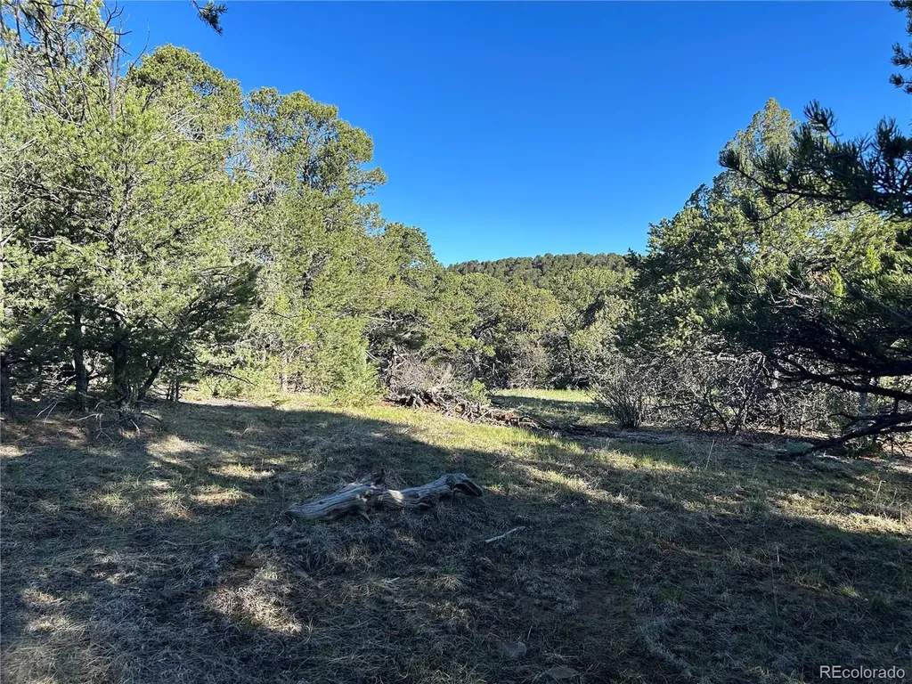 Lot 165 Silver Spurs Ranch Walsenburg CO 81089