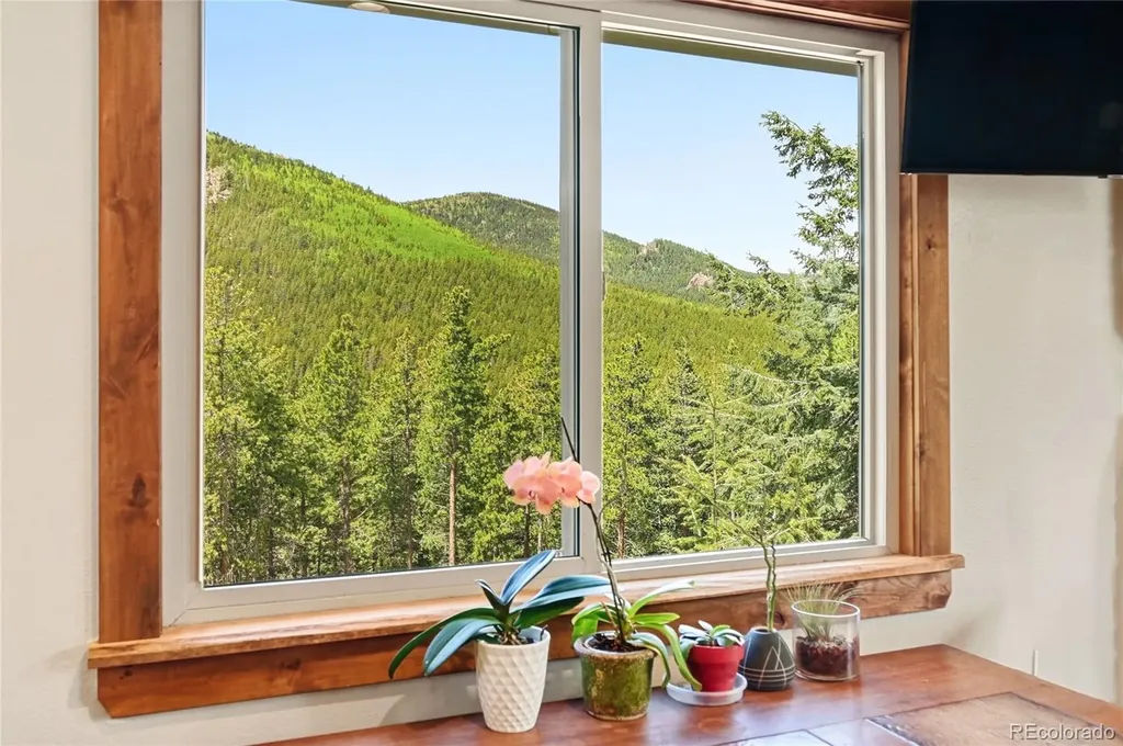9165 Jill Drive Conifer CO 80433