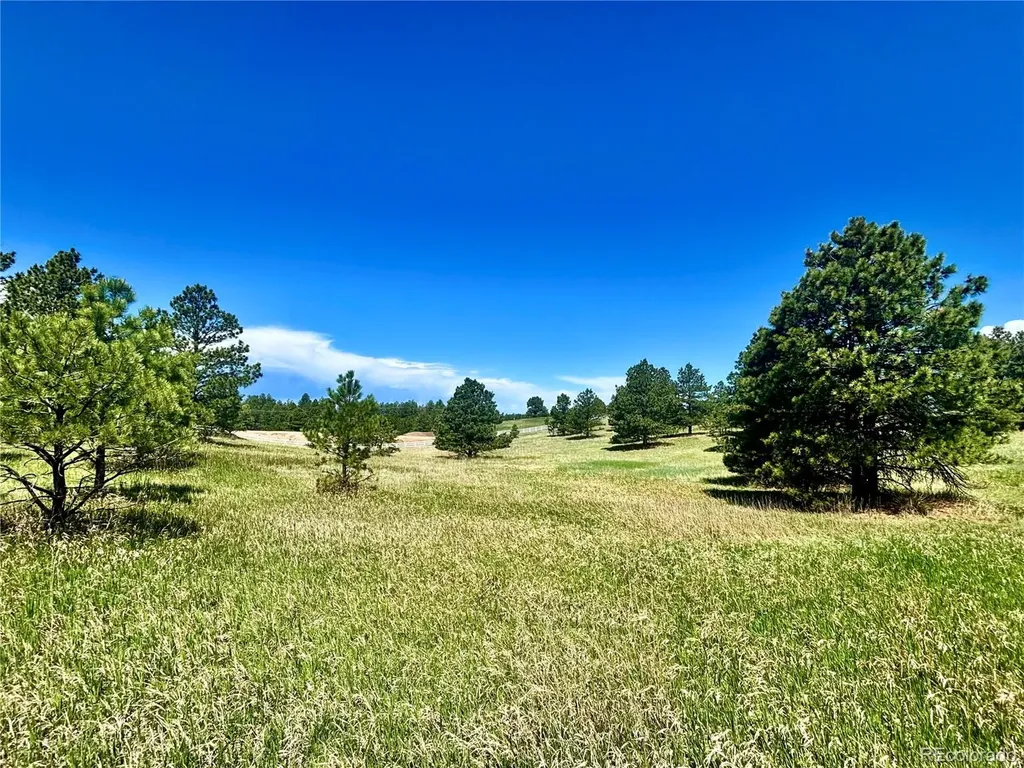 11455 Random Valley Circle Parker CO 80134