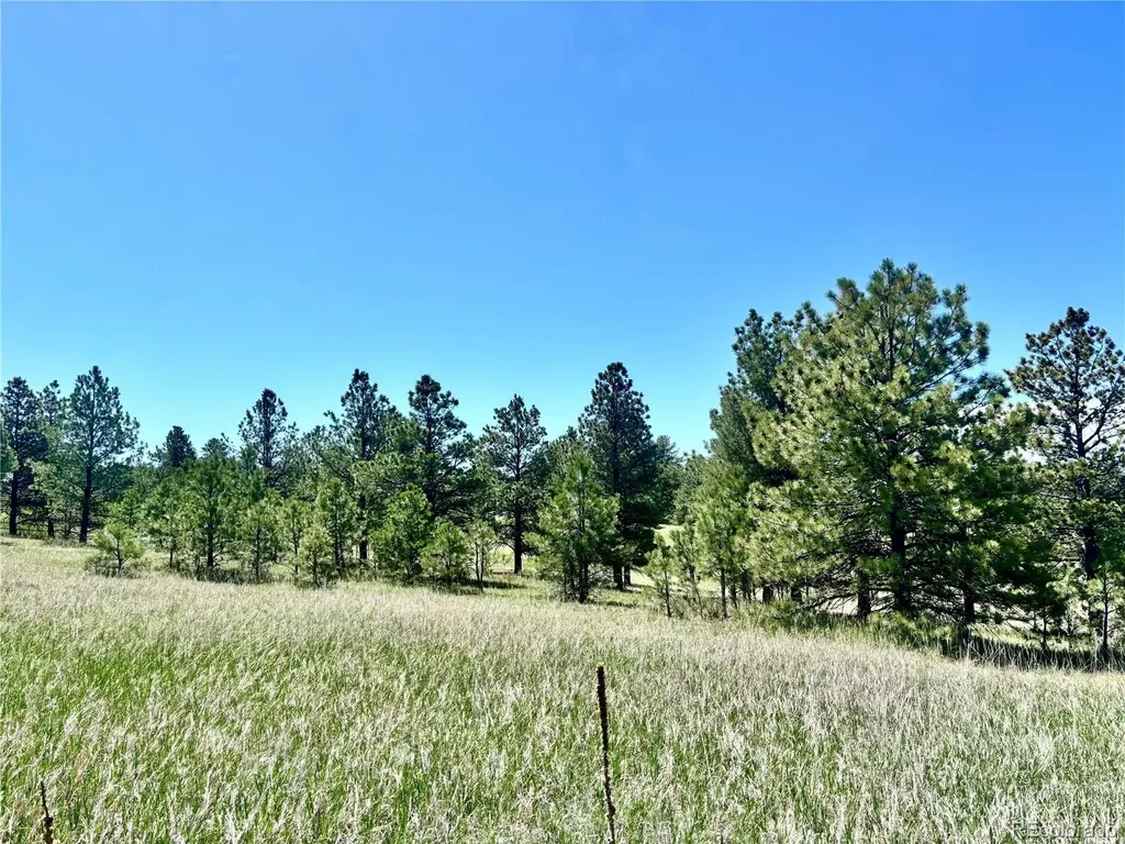 11455 Random Valley Circle Parker CO 80134