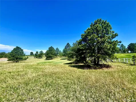 11455 Random Valley Circle Parker CO 80134