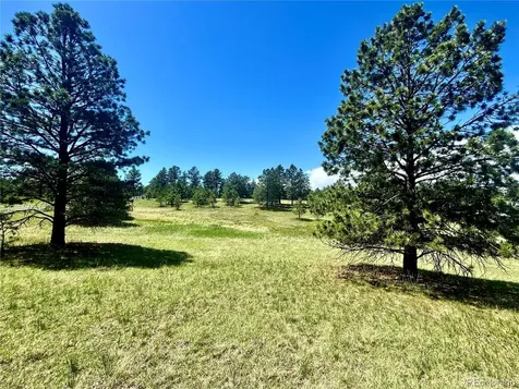 11455 Random Valley Circle Parker CO 80134
