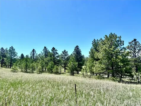 11455 Random Valley Circle Parker CO 80134