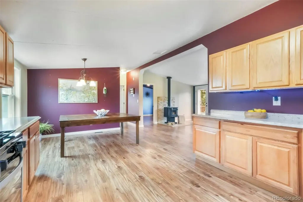 696 Calle De La Nieva Florissant CO 80816