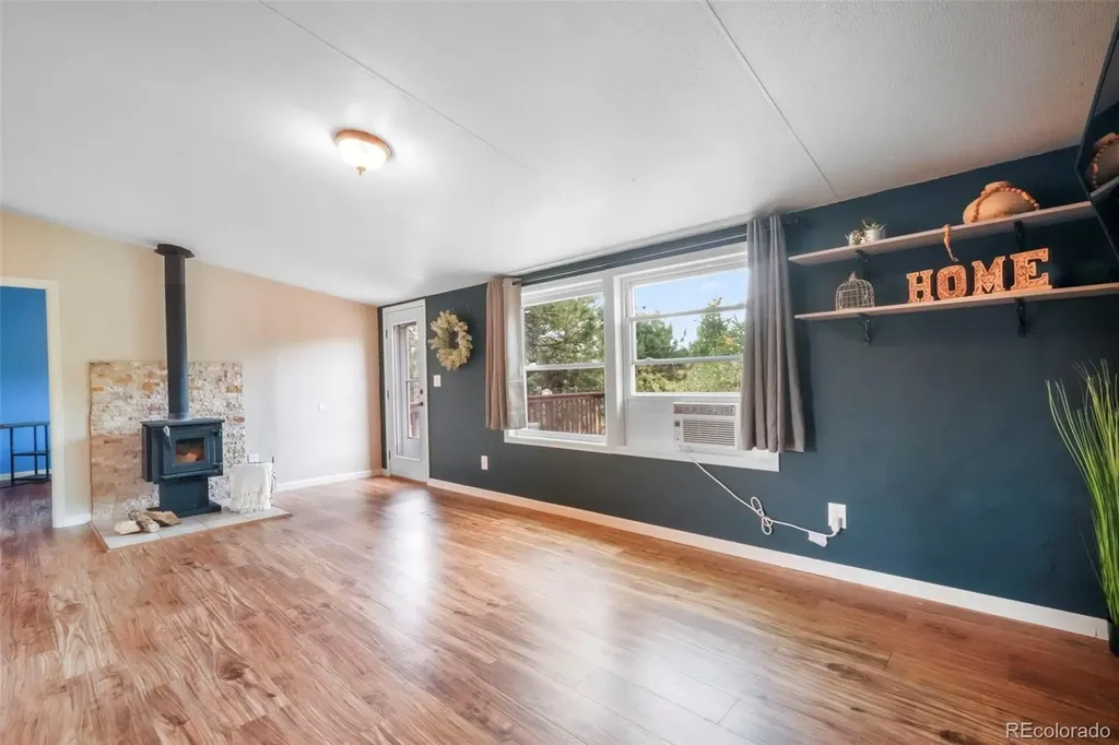 696 Calle De La Nieva Florissant CO 80816