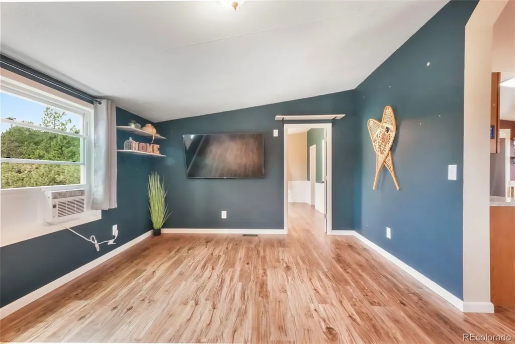 696 Calle De La Nieva Florissant CO 80816