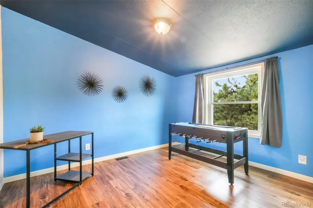 696 Calle De La Nieva Florissant CO 80816