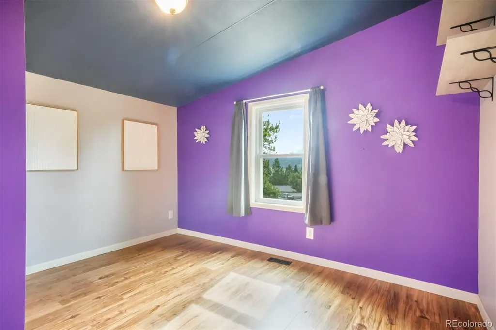696 Calle De La Nieva Florissant CO 80816
