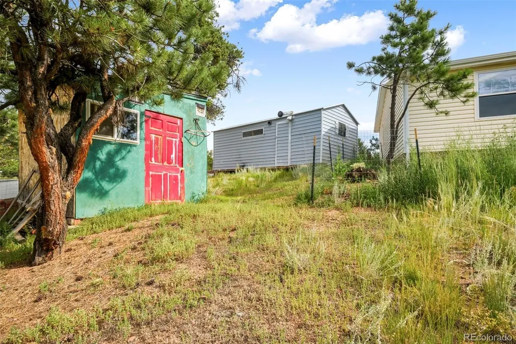696 Calle De La Nieva Florissant CO 80816