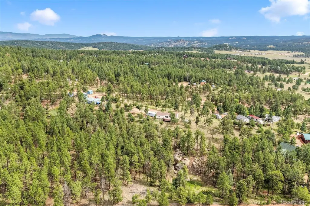 696 Calle De La Nieva Florissant CO 80816