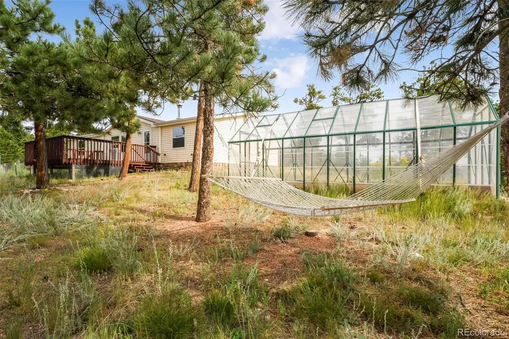 696 Calle De La Nieva Florissant CO 80816