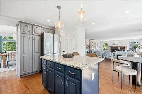 8927 Green Meadows Lane Highlands Ranch CO 80126