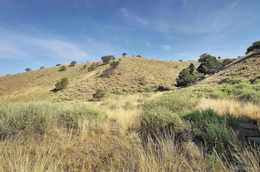 6600 County Road 176 Salida CO 81201