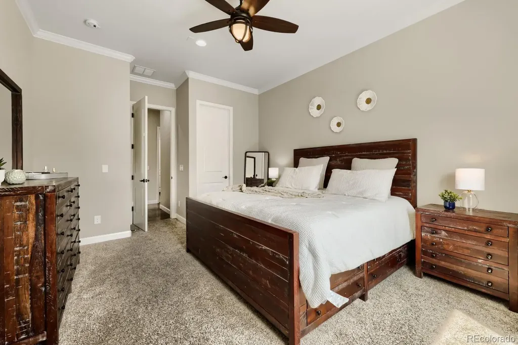 6698 Palmetto Court Castle Rock CO 80108