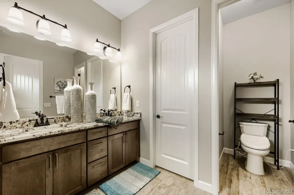 6698 Palmetto Court Castle Rock CO 80108