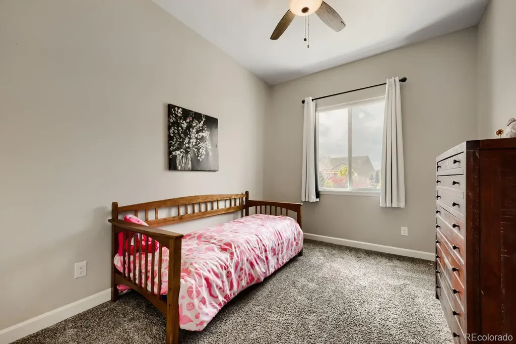 6698 Palmetto Court Castle Rock CO 80108