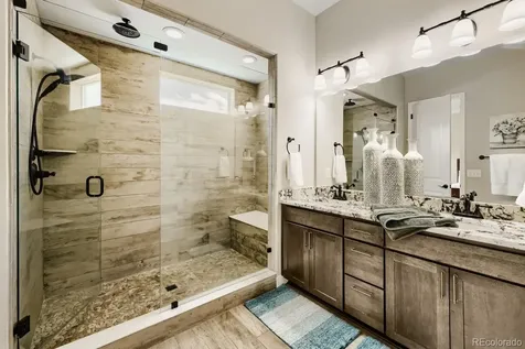 6698 Palmetto Court Castle Rock CO 80108
