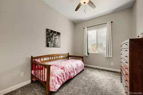 6698 Palmetto Court Castle Rock CO 80108