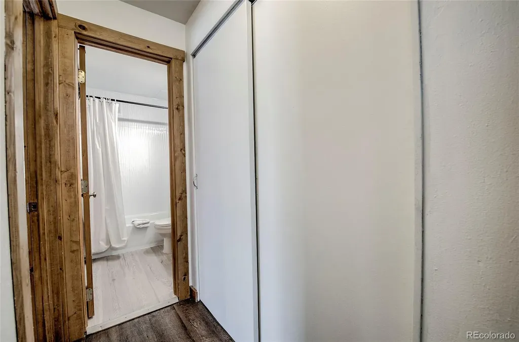 214 S Harris Street Breckenridge CO 80424