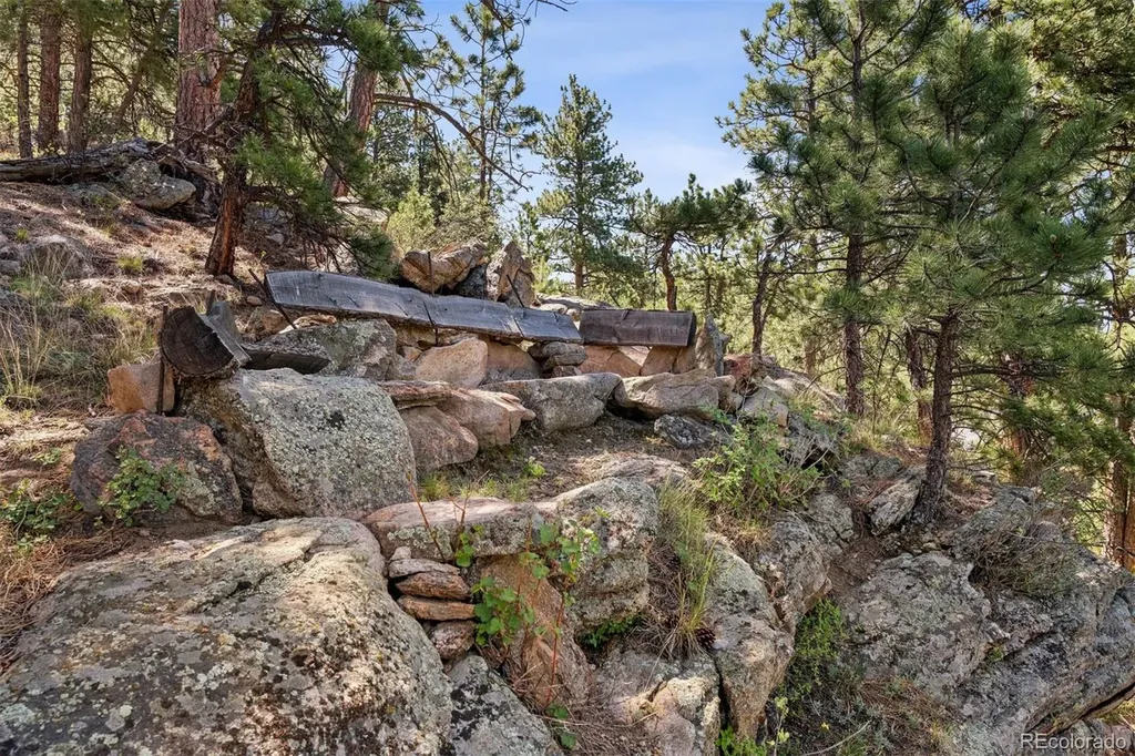 27383 Mildred Lane Evergreen CO 80439