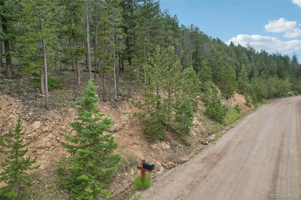 Elk Valley Drive Evergreen CO 80439