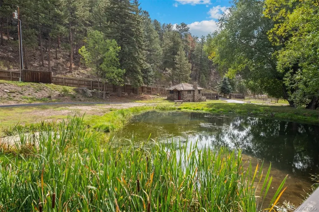 1733 Swede Gulch Road Evergreen CO 80439