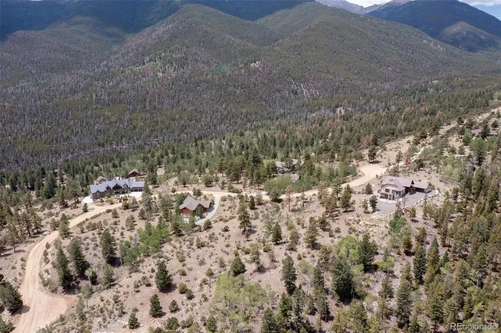 30192 Mountaintop Drive Buena Vista CO 81211