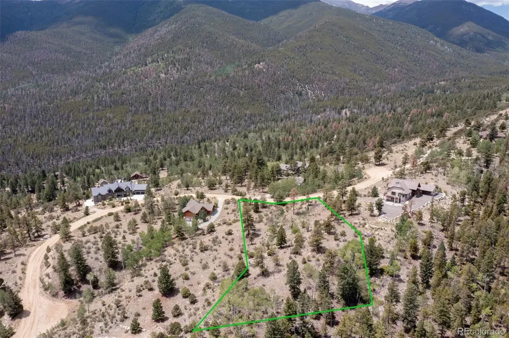 30192 Mountaintop Drive Buena Vista CO 81211