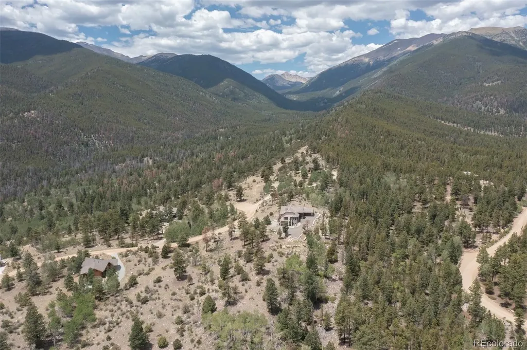 30192 Mountaintop Drive Buena Vista CO 81211