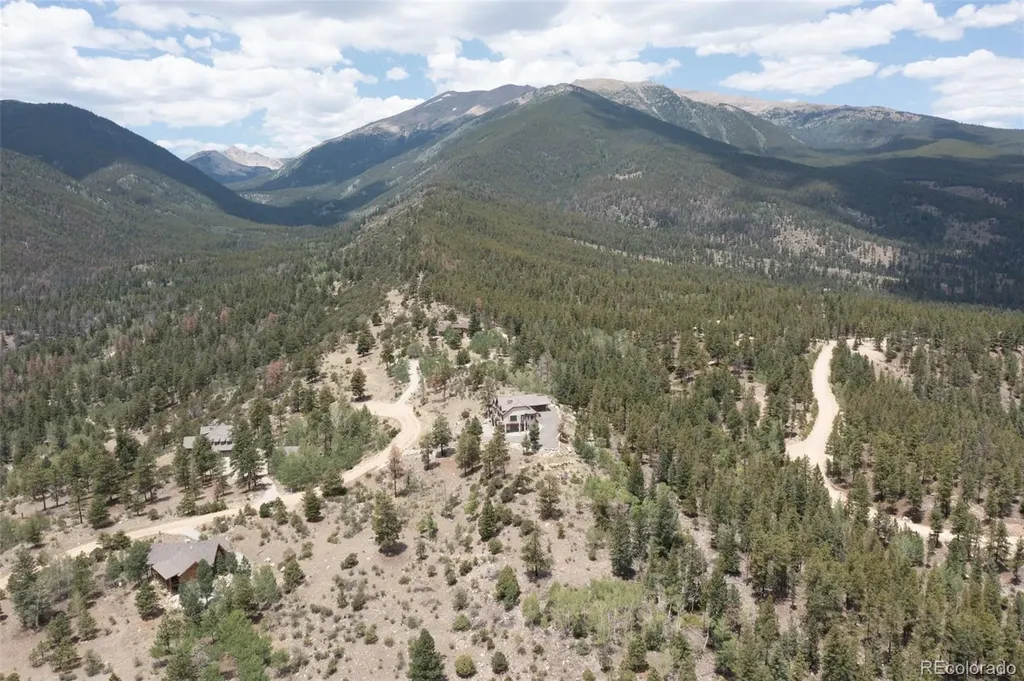 30192 Mountaintop Drive Buena Vista CO 81211