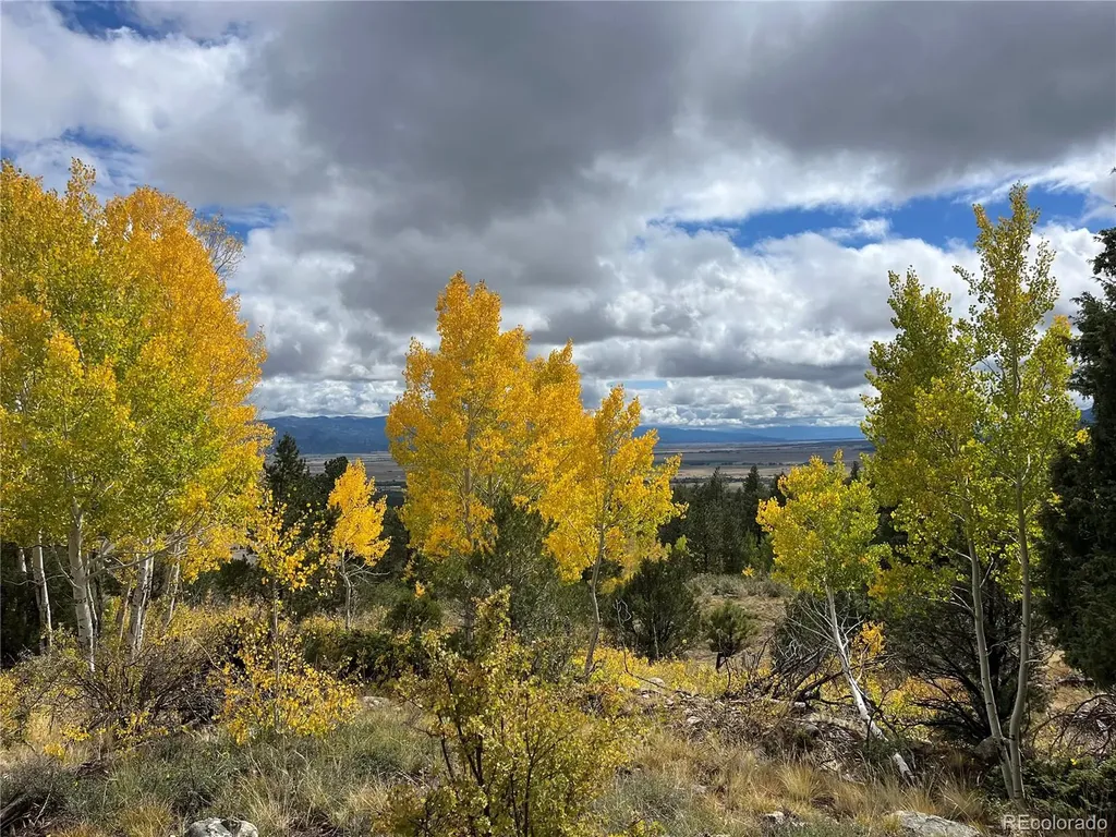 30192 Mountaintop Drive Buena Vista CO 81211