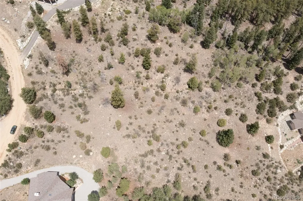30192 Mountaintop Drive Buena Vista CO 81211