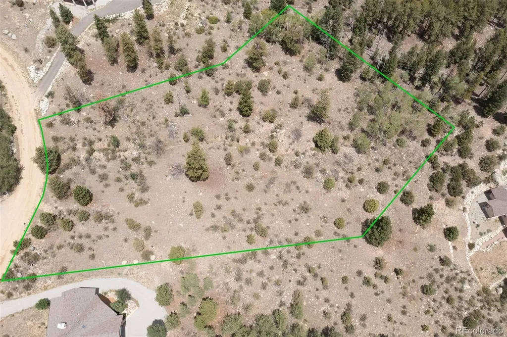 30192 Mountaintop Drive Buena Vista CO 81211