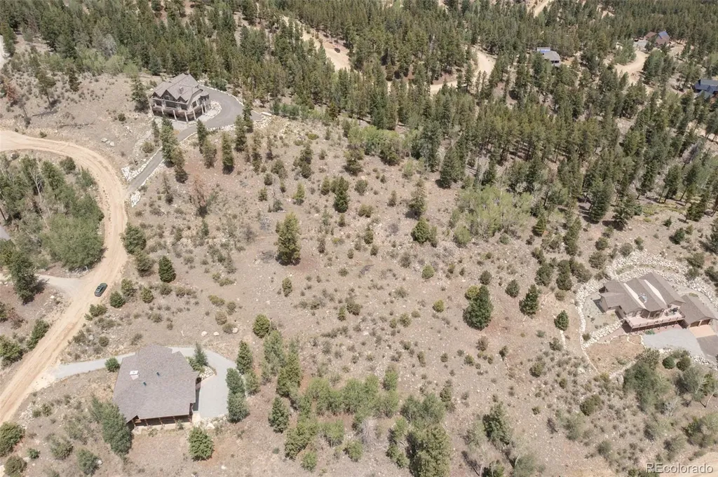 30192 Mountaintop Drive Buena Vista CO 81211