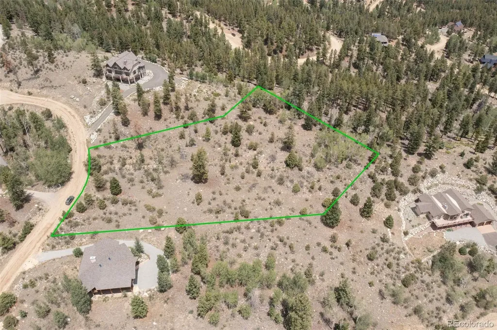 30192 Mountaintop Drive Buena Vista CO 81211