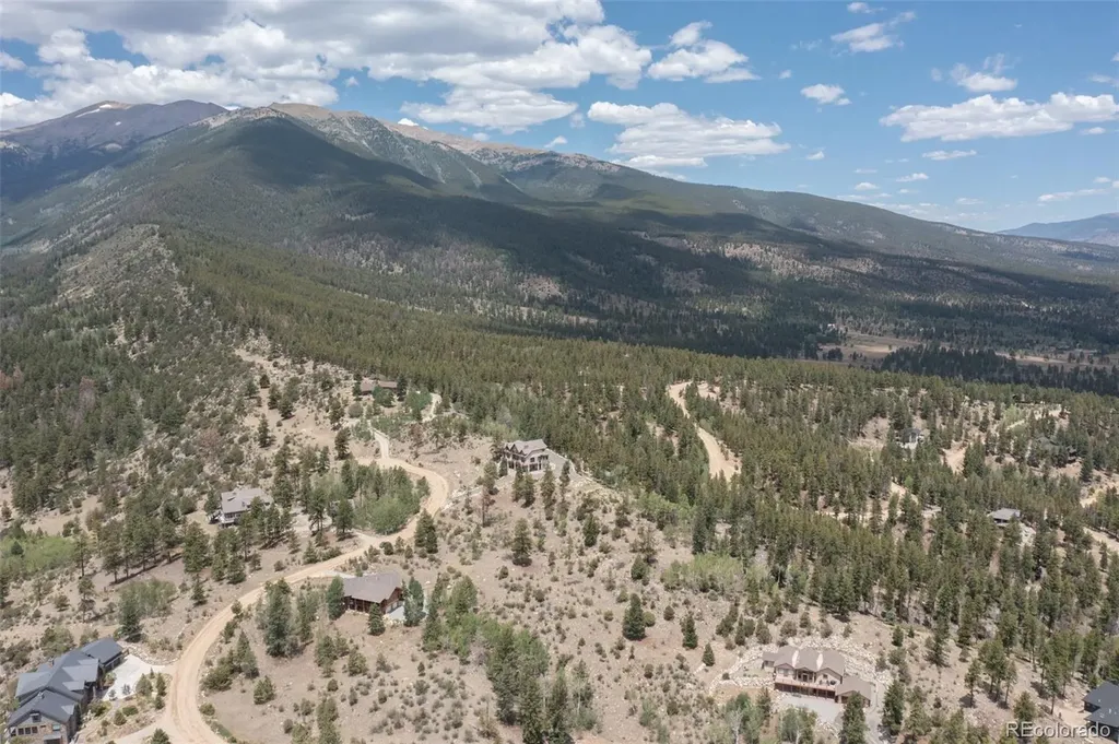 30192 Mountaintop Drive Buena Vista CO 81211