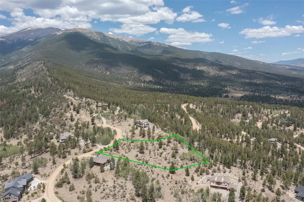 30192 Mountaintop Drive Buena Vista CO 81211