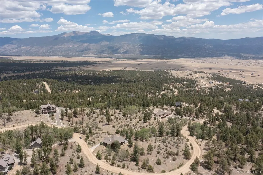 30192 Mountaintop Drive Buena Vista CO 81211