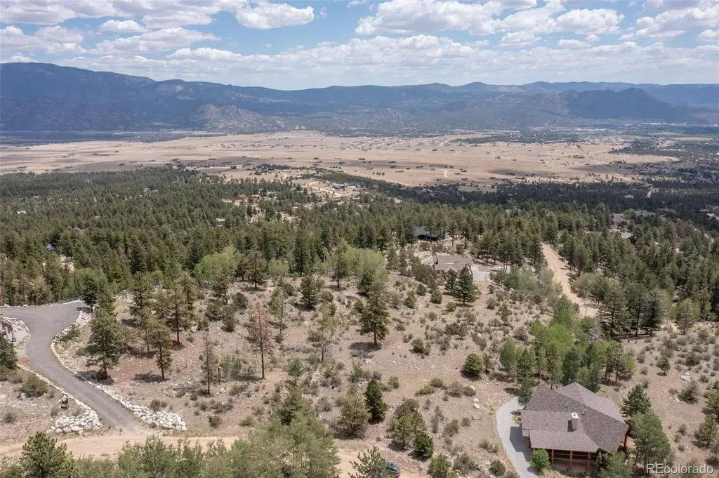 30192 Mountaintop Drive Buena Vista CO 81211