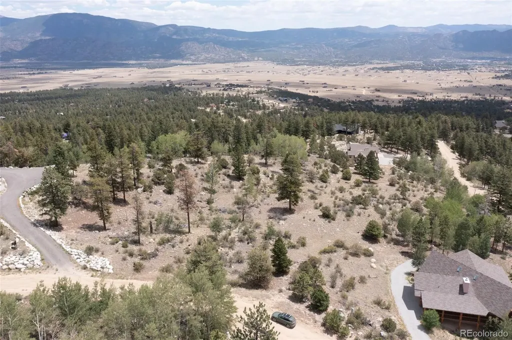30192 Mountaintop Drive Buena Vista CO 81211