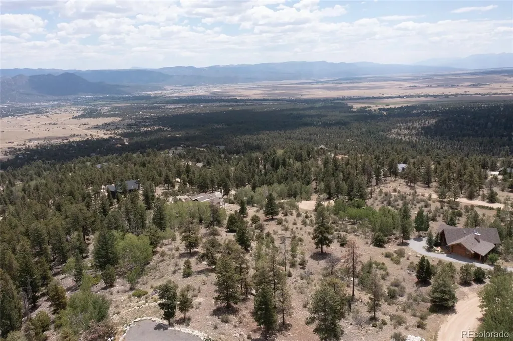 30192 Mountaintop Drive Buena Vista CO 81211