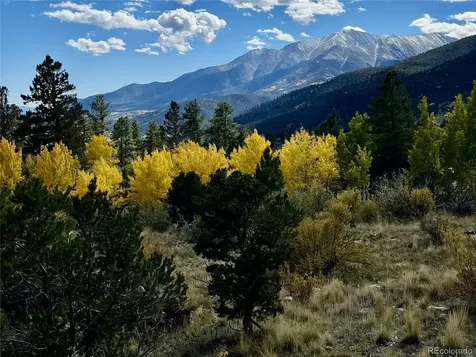30192 Mountaintop Drive Buena Vista CO 81211