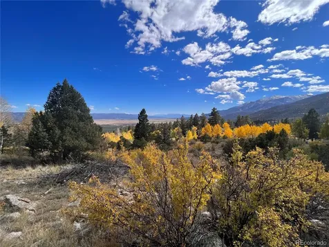 30192 Mountaintop Drive Buena Vista CO 81211