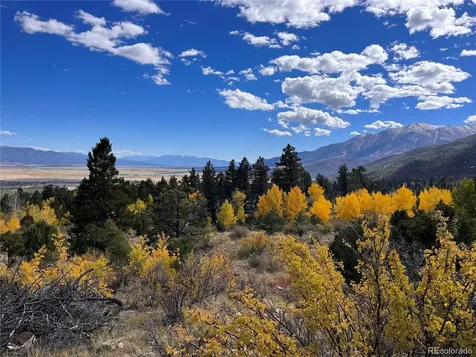 30192 Mountaintop Drive Buena Vista CO 81211