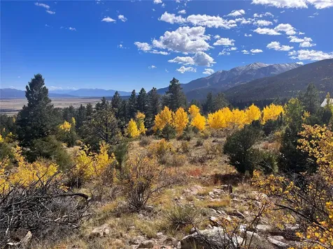 30192 Mountaintop Drive Buena Vista CO 81211