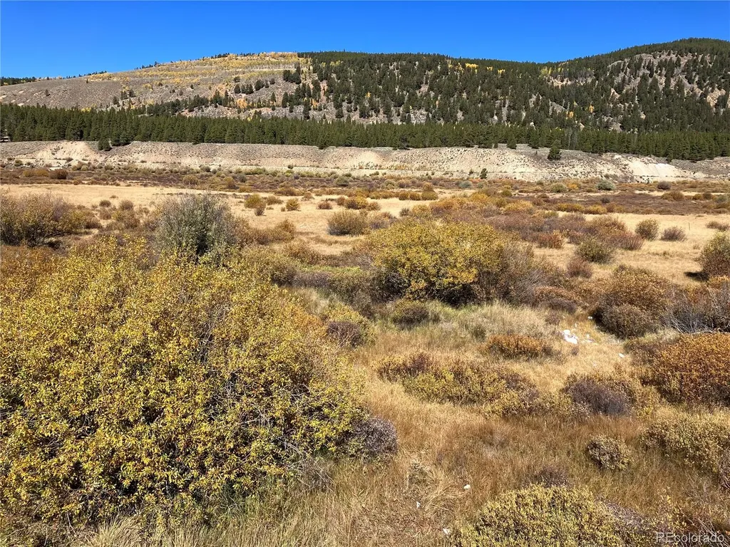 Leadville Land Leadville CO 80461