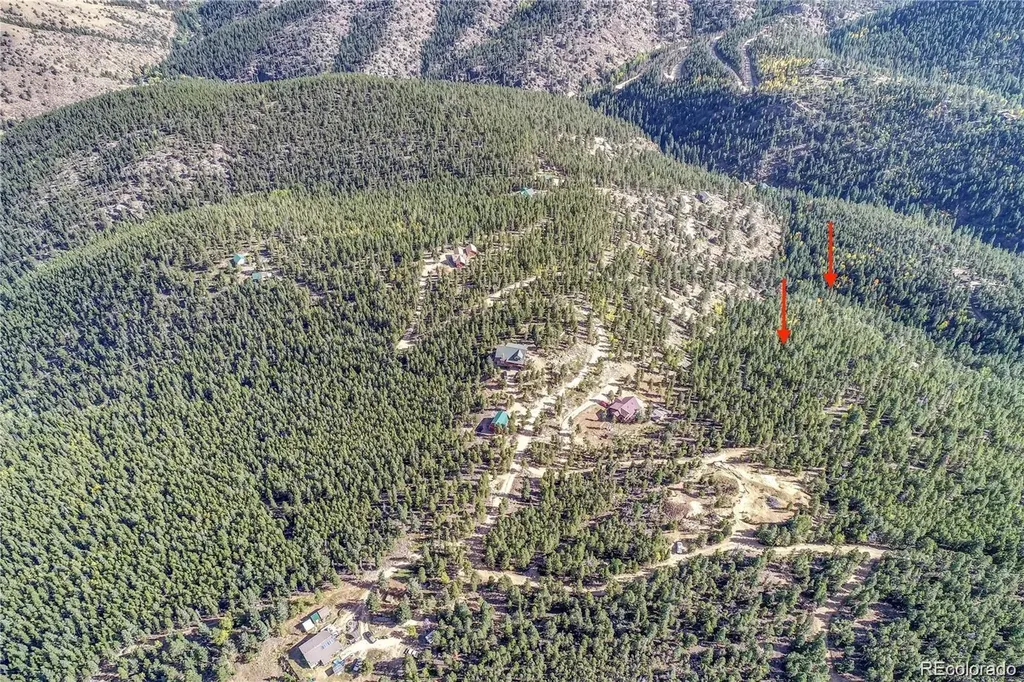 1234 Warren Gulch Road Idaho Springs CO 80452